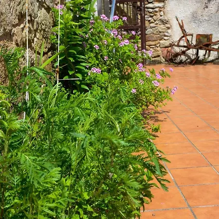 Sursum Corda Gæstehus