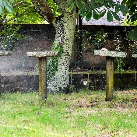 Gæstehus Sursum Corda Ribeira